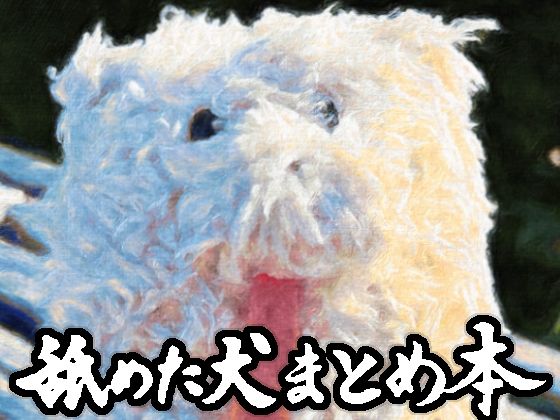 舐めた犬まとめ本｜舐めた犬❤【ギャグ・コメディ】