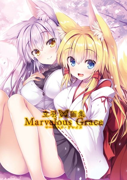 立羽画集 Marvelous Grace 立羽 ジャンル▶単行本｜評価