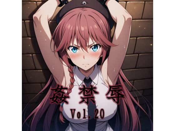 姦禁辱 vol.20 ジャンル▶拘束｜評価