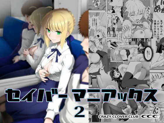 セイバーマニアックス2 ジャンル▶野外・露出｜評価