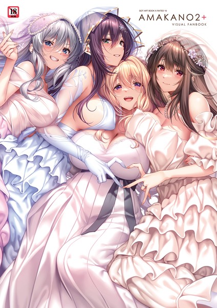 アマカノ2＋ ビジュアルファンブック ピロ水 ジャンル▶イラスト・CG集｜評価4.80